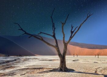 La toute première tempête stellaire jamais observée révolutionne notre compréhension de l’univers  → 
Une tempête stellaire inédite bouleverse notre vision de l’univers
