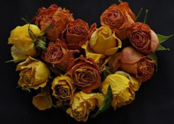 Un médecin condamné à 12 ans de prison pour viols et agressions sexuelles sur de jeunes patients à Montpellier