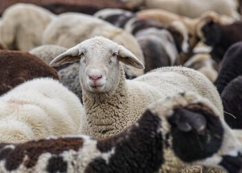 Telma Group reprend Aviatube à Nantes et sauve 84 emplois