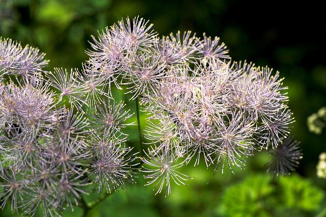 Attentat de la rue des Rosiers : le procès aux assises confirmé par la cour d’appel de Paris Attentat de la rue des Rosiers : le procès aux assises confirmé par la cour d’appel de Paris