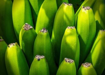 « La Team France Export nous ouvre grand les portes des marchés européens : découvrez comment réussir votre expansion ! »