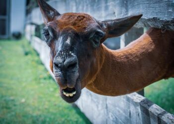 14 Projets Français Révolutionnaires Primés par le Fonds Européen pour l’Innovation 14 Projets Français Révolutionnaires Primés par le Fonds Européen pour l’Innovation