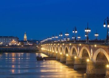 Bordeaux : des sangliers font une apparition inattendue aux portes de la ville