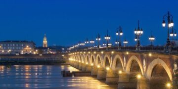 Bordeaux : des sangliers font une apparition inattendue aux portes de la ville