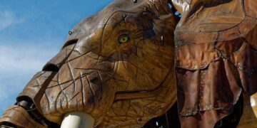 Météo du mardi 25 novembre 2025 : Préparez-vous pour la journée à Nantes et ses environs