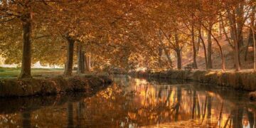 Grandes transformations aux hôpitaux de Rangueil et Larrey pour accueillir le Tour de France