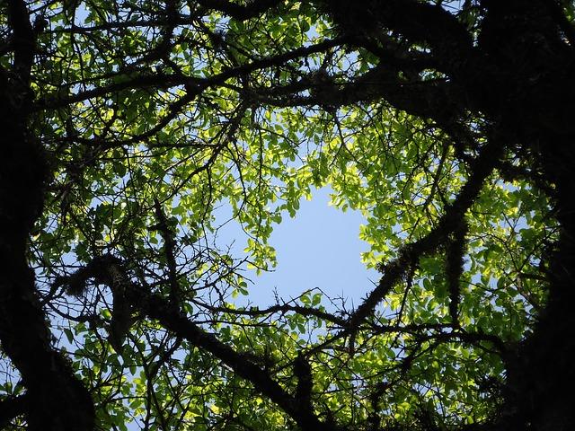 Chaque week-end, les créatifs parisiens envahissent Marseille : découvrez comment la cité phocéenne est devenue la nouvelle capitale de la mode en France Chaque week-end, les créatifs parisiens envahissent Marseille : découvrez comment la cité phocéenne est devenue la nouvelle capitale de la mode en France