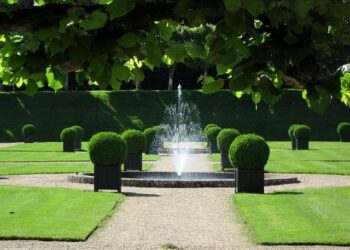 Honoring 120 Years of Defending the Separation of Church and State