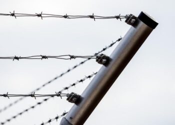 Immigration et insécurité : démêlez le vrai du faux des idées reçues