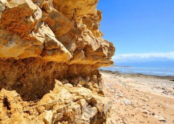 La Voix de la France aux Conseils Européens de la Jeunesse et des Sports : Un Engagement Inspirant  —  France’s Inspiring Voice Shaping the Future of European Youth and Sports