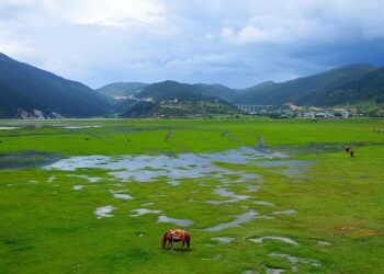 Pascal Elbé présente « La Bonne étoile » : un film incontournable dès jeudi en Israël