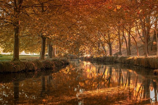 Le CHU de Toulouse sacré meilleur hôpital de France pour la deuxième fois ! Le CHU de Toulouse sacré meilleur hôpital de France pour la deuxième fois !