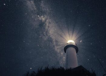 Le plus grand des spectacles : plongez au cœur de la vie fascinante de l’univers