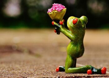 Bpifrance accompagne une délégation d’entreprises françaises à la conquête du marché sud-africain avec le Parcours Business International Bpifrance accompagne une délégation d’entreprises françaises à la conquête du marché sud-africain avec le Parcours Business International