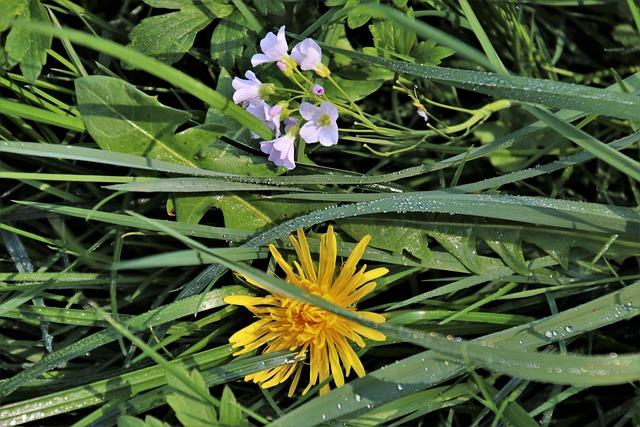 Amine Kessaci : Le visage engagé de Marseille aux côtés des victimes du narcotrafic