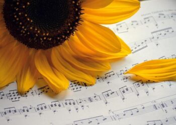 Feel the Power: Dropkick Murphys Rock Lyon-Décines at LDLC Arena! Feel the Power: Dropkick Murphys Rock Lyon-Décines at LDLC Arena!