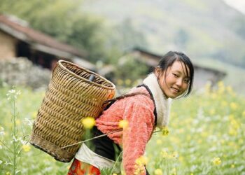 Cholet Basket éliminé dès le premier tour après sa défaite face à la SIG Strasbourg Cholet Basket éliminé dès le premier tour après sa défaite face à la SIG Strasbourg