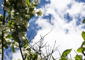Des milliers de fans impatients de découvrir le nouveau pop-up store de Jul à Marseille Des milliers de fans impatients de découvrir le nouveau pop-up store de Jul à Marseille