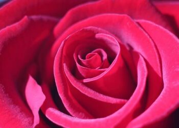 Gapman fait son grand retour avec une réédition explosive de Scam Industry