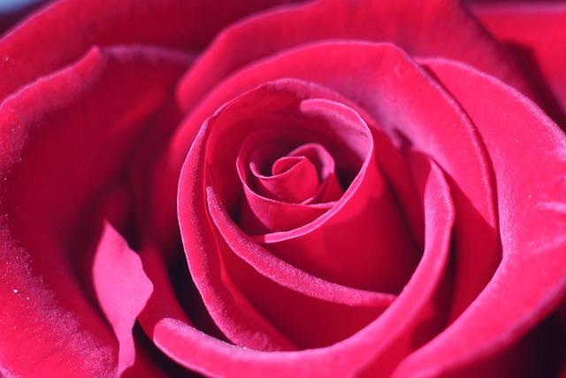 Gapman fait son grand retour avec une réédition explosive de Scam Industry