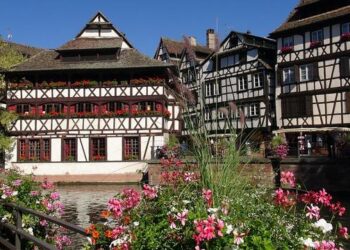 Le majestueux sapin de Noël de Strasbourg, haut de 30 mètres, abattu : fin d’une tradition spectaculaire Le majestueux sapin de Noël de Strasbourg, haut de 30 mètres, abattu : fin d’une tradition spectaculaire