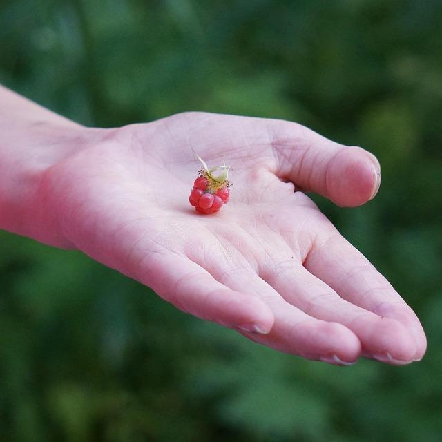 Effondrement de la biodiversité : pourquoi la France est l’un des pays les plus impactés au monde Effondrement de la biodiversité : pourquoi la France est l’un des pays les plus impactés au monde