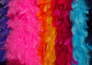 Une nouvelle maison d’édition prometteuse bientôt lancée à Nantes après le succès d’une revue littéraire Une nouvelle maison d’édition prometteuse bientôt lancée à Nantes après le succès d’une revue littéraire