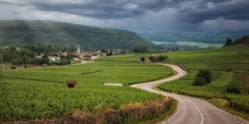 France : des agriculteurs unis pour sauver un troupeau de vaches menacé d’abattage France : des agriculteurs unis pour sauver un troupeau de vaches menacé d’abattage