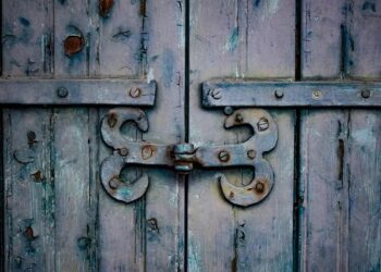 9, 32, 66 et 83 ans : Les quatre âges charnières que votre cerveau révèle