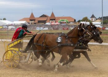 « Le marché français est évité » : la France peut-elle vraiment échapper à un scandale des paris sportifs ?  → 
La France peut-elle vraiment éviter un scandale dans les paris sportifs malgré la méfiance du marché ?