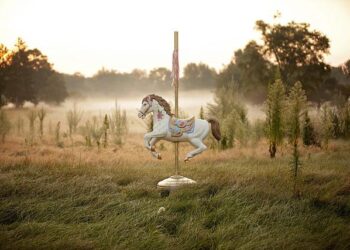 Découvrez les coulisses inédites d’une messe télévisée exceptionnelle à Lille Découvrez les coulisses inédites d’une messe télévisée exceptionnelle à Lille