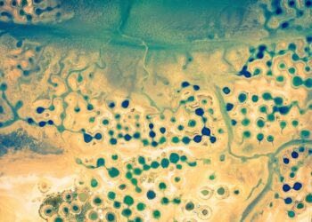 Crise diplomatique : le Sénégal suspend les extraditions vers la France et accuse Paris de blocage Crise diplomatique : le Sénégal suspend les extraditions vers la France et accuse Paris de blocage