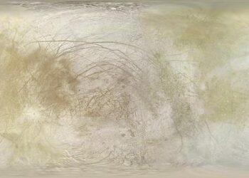 Ne ratez pas Berne vs Lille en Ligue Europa : suivez le match en direct dès maintenant ! Ne ratez pas Berne vs Lille en Ligue Europa : suivez le match en direct dès maintenant !