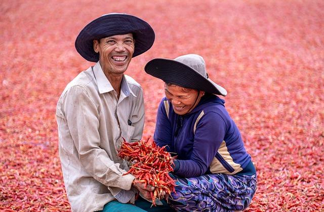 Agriculteurs en action sur l’A63, A64, A709, A75 et RN20 : quel bilan ce lundi midi ?  

→  
Mobilisation des agriculteurs sur l’A63, A64, A709, A75 et RN20 : quel bilan à mi-journée ce lundi ?