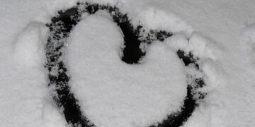 Dermatose : 80 interventions recensées en France mercredi, reprise du trafic SNCF jeudi entre Toulouse et Narbonne