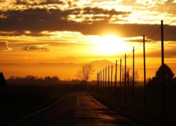 Unlock Exciting New Opportunities with Prospecter: Your Gateway to Success