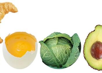 Quand la science révolutionne notre assiette : plongez dans l’histoire fascinante de la diététique  —  Découvrez comment la science transforme notre façon de manger : une plongée captivante dans l’évolution de la diététique