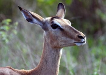 Six départements du sud de la France en vigilance orange lundi, dont deux pour neige et verglas  → 
Alerte orange lundi dans six départements du sud : neige et verglas frappent deux zones