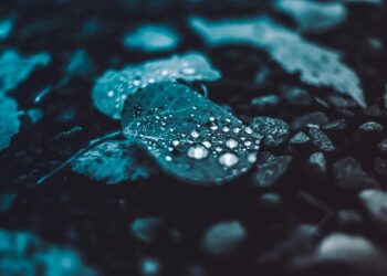 Claire Dammerey inaugure son troisième magasin France Literie à Marquette-lez-Lille !