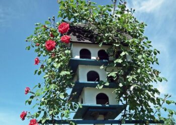 Yorick Treille s&rsquo;exprime sur l&rsquo;absence de Tim Bozon aux JO 2026 : « C&rsquo;est très décevant »