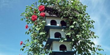 Yorick Treille s&rsquo;exprime sur l&rsquo;absence de Tim Bozon aux JO 2026 : « C&rsquo;est très décevant »