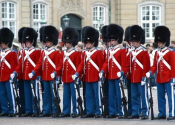 Corps calciné découvert à Marseille : un homme gravement blessé par balles