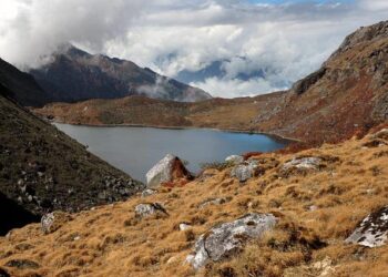 Fuyant depuis 2022, il est hospitalisé au CHU de Nantes après avoir reçu quatre balles  Après une fuite de près d’un an, il est grièvement blessé par quatre balles et hospitalisé au CHU de Nantes