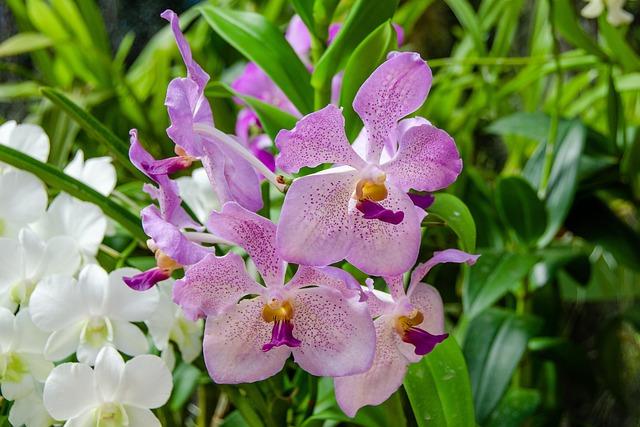 Unlocking New Opportunities: Strengthening France-Sweden Trade Ties Unlocking New Opportunities: Strengthening France-Sweden Trade Ties