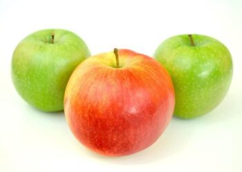 De 16°C à Nice à -11°C dans la Marne : un spectaculaire contraste de températures en France jusqu&rsquo;au Nouvel An