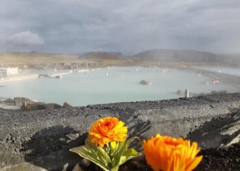 Après 6 mois de travaux, la piscine de cette commune à l’ouest de Nantes rouvre enfin ses portes !