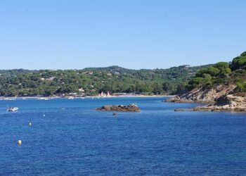 La CCI Nice Côte d’Azur, première en France à décrocher le label ENGAGÉ RSE AFNOR