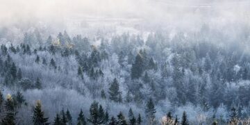 Comment les commerçants du marché bravent le froid avec ingéniosité Comment les commerçants du marché bravent le froid avec ingéniosité