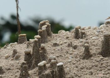 Sud-Est en alerte : Quatre départements en vigilance orange pluie-inondation, Nice sur le qui-vive Sud-Est en alerte : Quatre départements en vigilance orange pluie-inondation, Nice sur le qui-vive