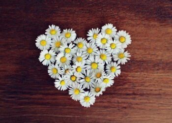 Daisy Ridley Affronte des Zombies Terrifiants au Cœur d’une Pandémie dans la Bande-Annonce Glaciale de We Bury the Dead Daisy Ridley Affronte des Zombies Terrifiants au Cœur d’une Pandémie dans la Bande-Annonce Glaciale de We Bury the Dead